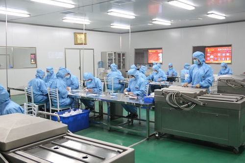 督灸、膏药贴牌代加工的专业之选——药福医药资讯与健康咨询